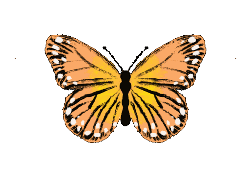 Symbol of travel freedom and exploration