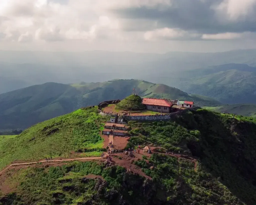 Chikmagalur Coffee