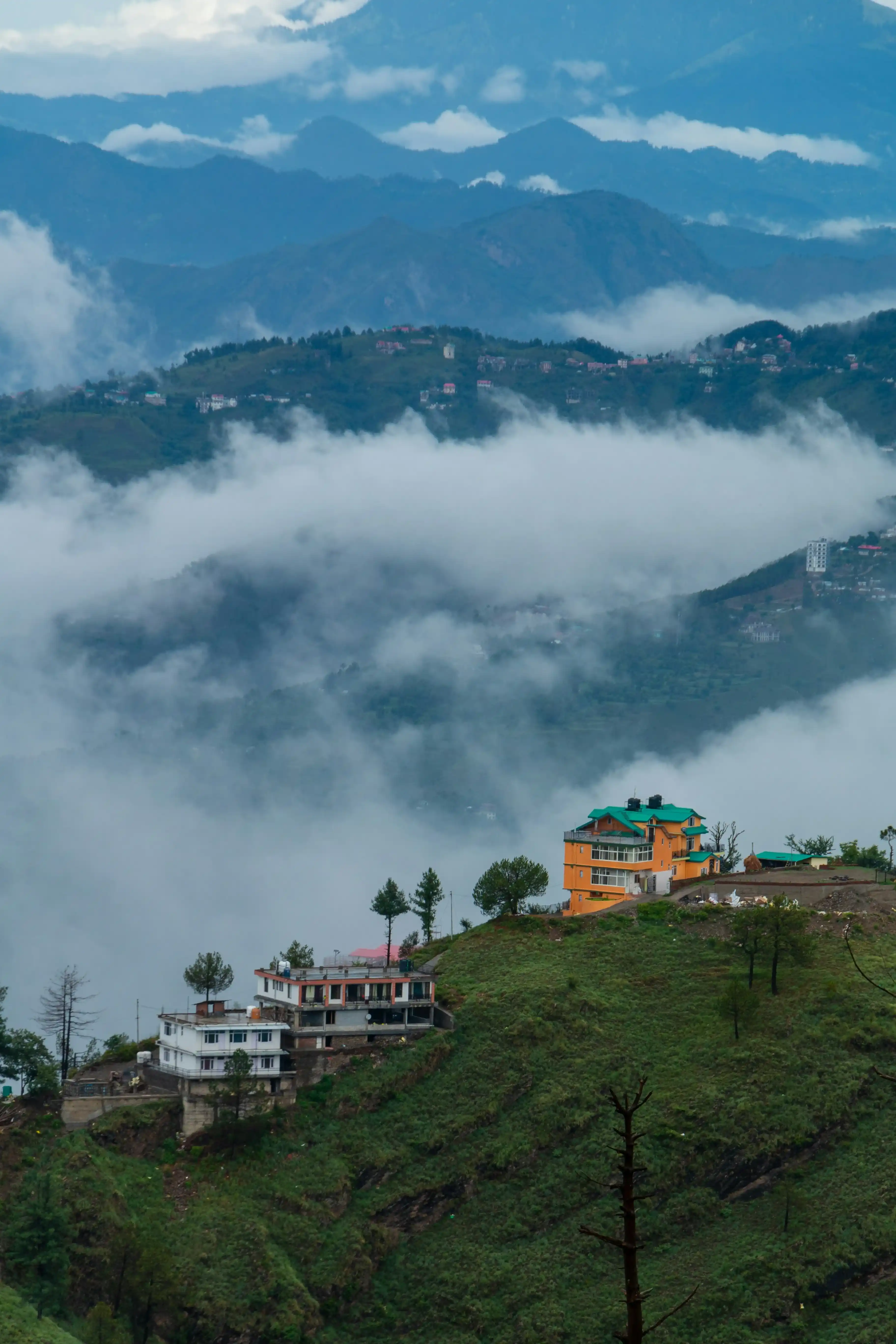 Shimla