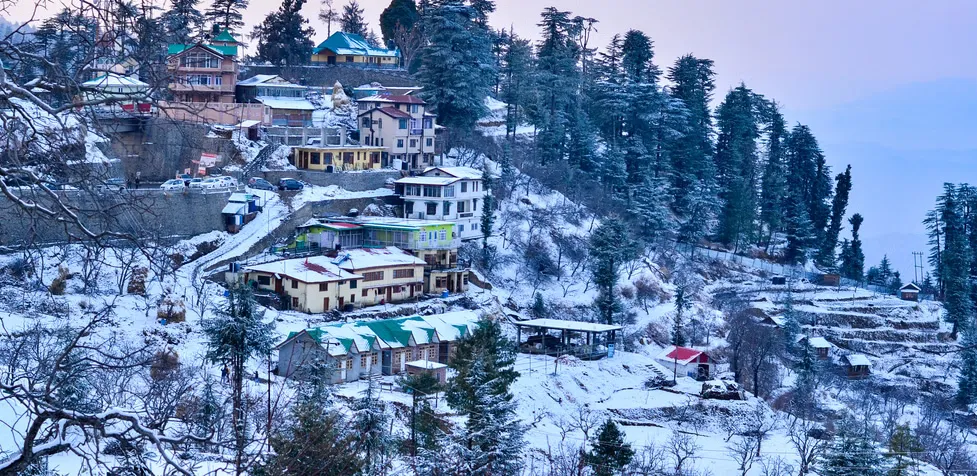 Shimla-Package