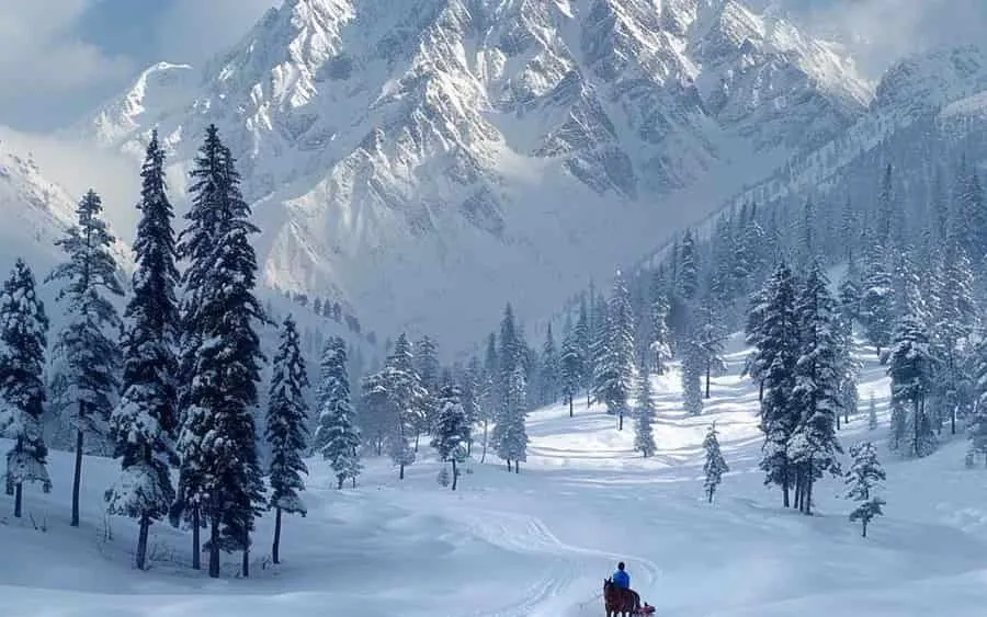 Kashmir