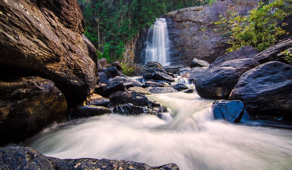 Wayanad Nature Adventure