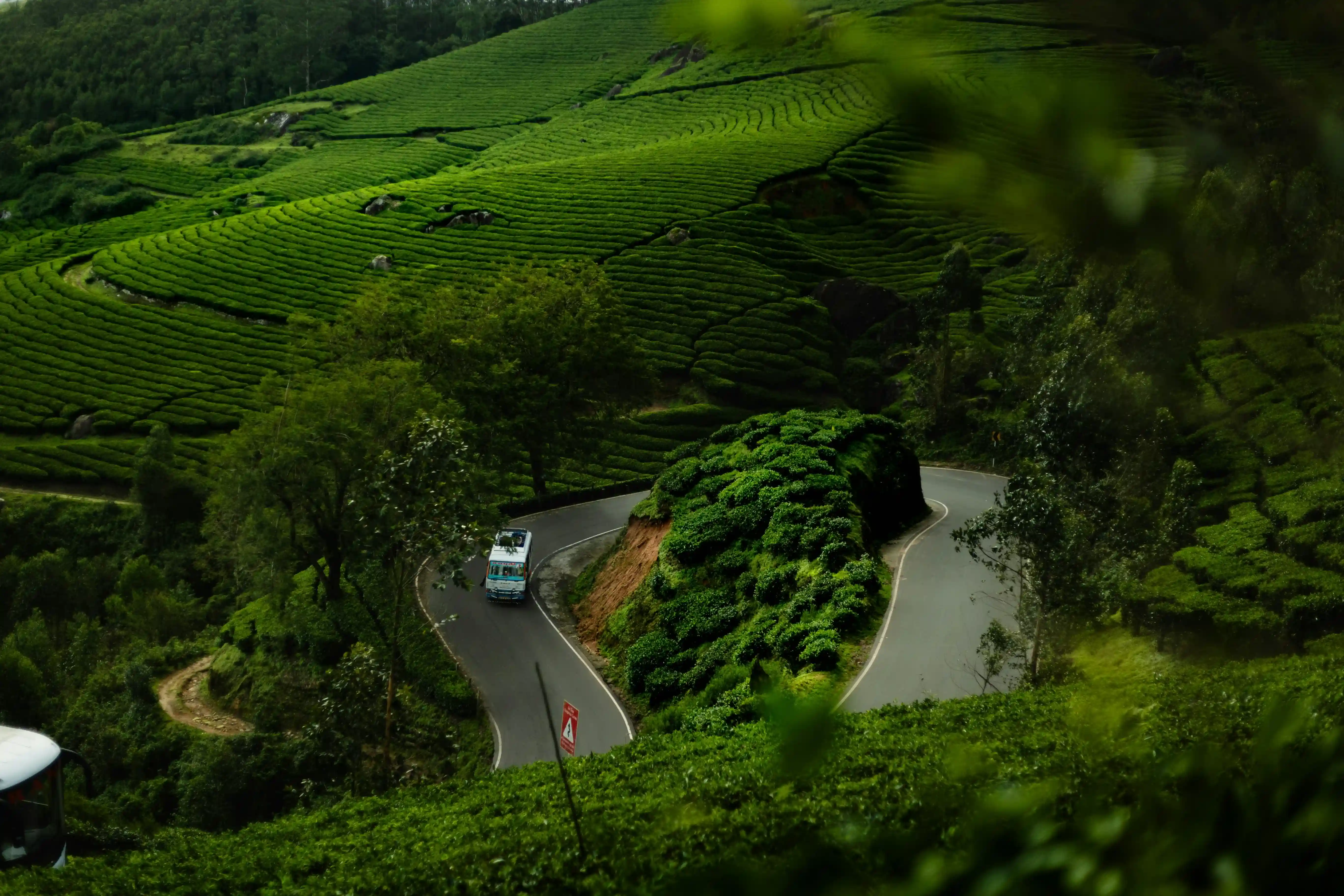 Wayanad