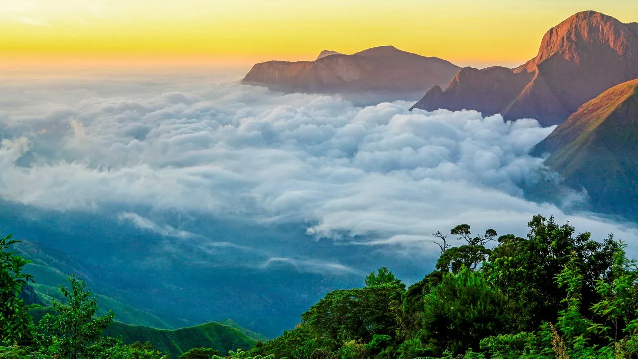 Munnar-Tour
