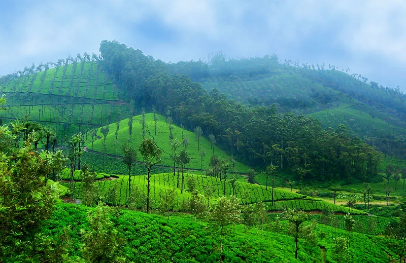 Valparai-Tour