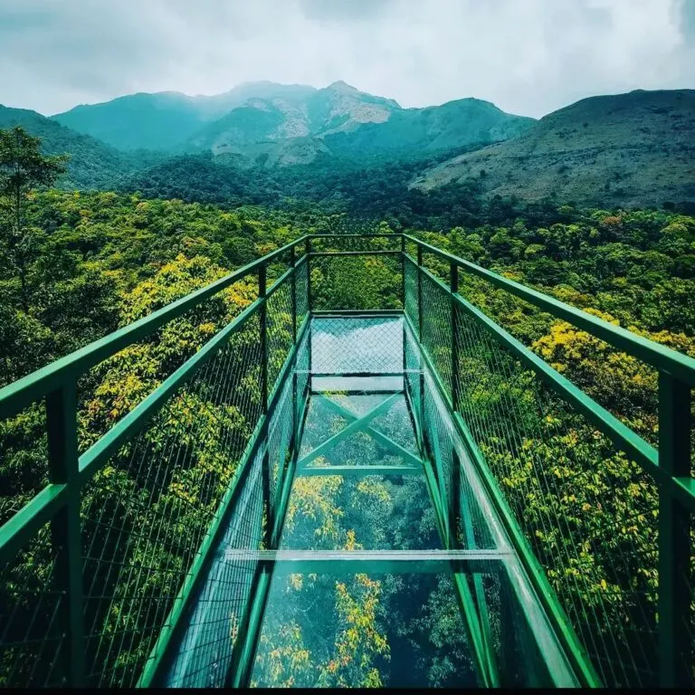 Wayanad-Tour