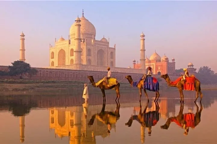India Tour